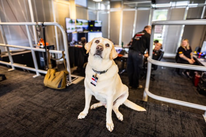 Meet Lucky: The Paws-itively Essential Team Member at Barber Motorsports Park