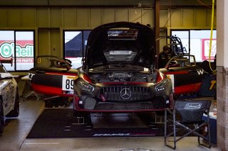 #89 Mercedes-AMG GT4 of Ross Chouest, RENNtech Motorsports, GT America Powered by AWS, GT4, SRO America Sonoma Raceway, Sonoma, CA, March 2021.  | Brian Cleary/bcpix.com