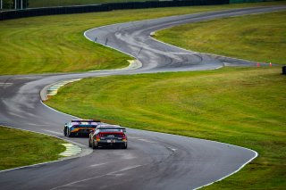 #99 Ford Mustang GT4 of Robb Holland, Rotek Racing, GT America Powered by AWS, GT4, SRO America, Virginia International Raceway, Alton, VA, June 2021. | Fabian Lagunas/SRO