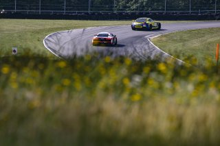 #39 Mercedes-AMG GT4 of Chris Cagnazzi, RENNtech Motorsports, GT America Powered by AWS, GT4, Virginia International Raceway, Alton, VA, June 2021. | Brian Cleary/SRO