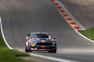 #99 Ford Mustang GT4 of Robb Holland, Rotek Racing, GT America Powered by AWS, GT4, SRO America, Watkins Glen International Raceway, Watkins Glen, NY, September 2021. | Fabian Lagunas/SRO