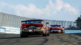 #99 Ford Mustang GT4 of Robb Holland, Rotek Racing, GT America Powered by AWS, GT4, SRO America, Watkins Glen International Raceway, Watkins Glen, NY, September 2021. | SRO Motorsports Group