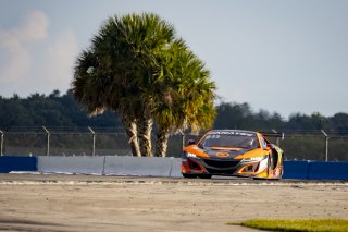 #77 Acura NSX GT3 of Michael Di Meo and Matt McMurry, Compass Racing, Fanatec GT World Challenge America powered by AWS, Pro-Am, SRO America, Sebring International Raceway, Sebring, FL, September 2021.
 | Brian Cleary/SRO