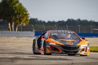#77 Acura NSX GT3 of Michael Di Meo and Matt McMurry, Compass Racing, Fanatec GT World Challenge America powered by AWS, Pro-Am, SRO America, Sebring International Raceway, Sebring, FL, September 2021.
 | Brian Cleary/SRO