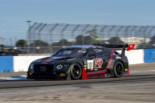 #101 Bentley Continental GT3 of Memo Gidley, TKO with Flying Lizard Motorsports, GT America Powered by AWS, SRO3, SRO America, Sebring International Raceway, Sebring, FL, September 2021.
 | Brian Cleary/SRO