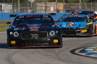 #101 Bentley Continental GT3 of Memo Gidley, TKO with Flying Lizard Motorsports, GT America Powered by AWS, SRO3, SRO America, Sebring International Raceway, Sebring, FL, September 2021.
 | SRO Motorsports Group