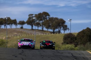 April  2022., CA, SRO America, Sonoma, Sonoma Raceway
 | Fabian Lagunas SRO