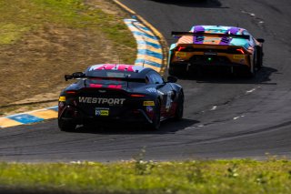 April  2022., CA, SRO America, Sonoma, Sonoma Raceway
 | Fabian Lagunas SRO