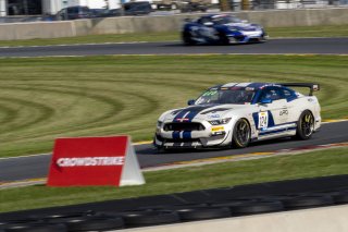 #124 Ford Mustang GT4 of Chris Alliegro, ARG/Rotek Racing, GT America Powered by AWS, GT4, SRO America, Road America, Elkhart Lake, WI, August 2022
 | Brian Cleary/SRO