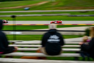 \56\SRO America, Road America, Elkhart Lake, Wisconsin, August 2022.
 | Fred Hardy | SRO