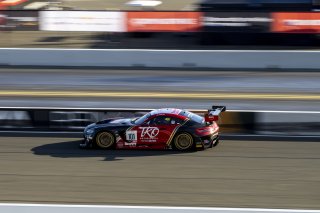#101 Mercedes-AMG GT3 of Memo Gidley, TKO Motorsports, GT America Powered by AWS, SRO3, SRO America, Sonoma Raceway, Sonoma, CA, April 2023.
 | Brian Cleary/SRO