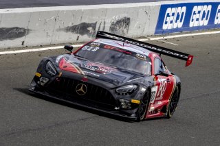 #101 Mercedes-AMG GT3 of Memo Gidley, TKO Motorsports, GT America Powered by AWS, SRO3, SRO America, Sonoma Raceway, Sonoma, CA, April 2023.
 | Brian Cleary/SRO