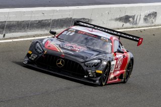 #101 Mercedes-AMG GT3 of Memo Gidley, TKO Motorsports, GT America Powered by AWS, SRO3, SRO America, Sonoma Raceway, Sonoma, CA, April 2023.
 | Brian Cleary/SRO