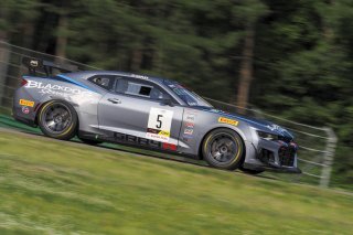 #5 Chevrolet Camaro GT4.R of Tony Gaples, Blackdog Speed Shop, GT America Powered by AWS, GT4, SRO America, VIRginia International Raceway, Alton VA, June 2023.
 | Brian Cleary/SRO
