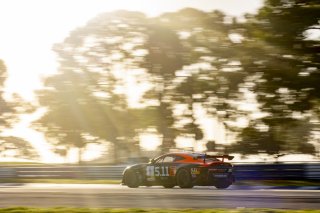 #8 Aston Martin Vantage AMR GT4 of Elias Sabo, Flying Lizard Motorsports, GT America Powered by AWS, GT4, SRO America, Sebring International Raceway, Sebring, FL, September 2023.
 | Brian Cleary/SRO