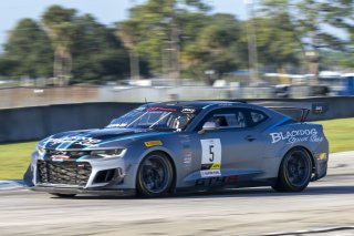 #5 Chevrolet Camaro GT4.R of Tony Gaples, Blackdog Speed Shop, GT America Powered by AWS, GT4, SRO America, Sebring International Raceway, Sebring, FL, September 2023.
 | Brian Cleary/SRO