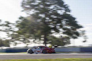 #460 Porsche 911 GT3-R (991.ii) of Andy Wilzoch, Flying Lizard Motorsports, GT America Powered by AWS, SRO3, SRO America, Sebring International Raceway, Sebring, FL, September 2023.
 | Brian Cleary/SRO