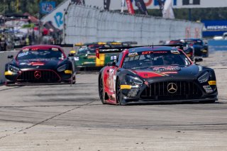 #101 Mercedes-AMG GT3 of Memo Gidley, TKO Motorsports, GT America Powered by AWS, SRO3, SRO America, Sebring International Raceway, Sebring, FL, September 2023.
 | Brian Cleary/SRO