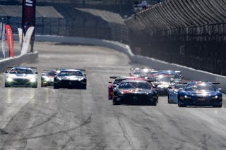 #101 Mercedes-AMG GT3 of Memo Gidley, TKO Motorsports, GT America Powered by AWS, SRO3, SRO America, Indianapolis Motor Speedway, Indianapolis, IN, October 2023.
 | Brian Cleary/SRO