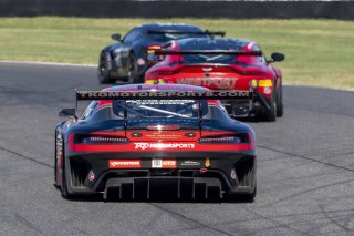#101 Mercedes-AMG GT3 of Memo Gidley, TKO Motorsports, GT America Powered by AWS, SRO3, SRO America, Indianapolis Motor Speedway, Indianapolis, IN, October 2023.
 | Brian Cleary/SRO