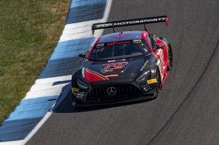 #101 Mercedes-AMG GT3 of Memo Gidley, TKO Motorsports, GT America Powered by AWS, SRO3, SRO America, Indianapolis Motor Speedway, Indianapolis, IN, October 2023.
 | Brian Cleary/SRO