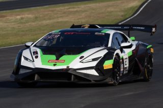 #127 Lamborghini Huracan Super Trofeo EVO2 of Aaron Farhadi, TPC Racing, GT America, GT2, SRO America, Sonoma Raceway, Sonoma, CA, April 2024
 | Brian Cleary/SRO