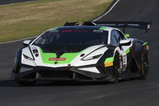 #127 Lamborghini Huracan Super Trofeo EVO2 of Aaron Farhadi, TPC Racing, GT America, GT2, SRO America, Sonoma Raceway, Sonoma, CA, April 2024
 | Brian Cleary/SRO