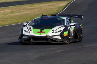 #127 Lamborghini Huracan Super Trofeo EVO2 of Aaron Farhadi, TPC Racing, GT America, GT2, SRO America, Sonoma Raceway, Sonoma, CA, April 2024
 | Brian Cleary/SRO