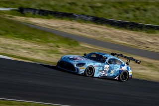 #44 Mercedes-AMG GT2 of Brent Holden, GMG Racing, GT America, GT2, SRO America, Sonoma Raceway, Sonoma, CA, April 2024
 | Brian Cleary/SRO