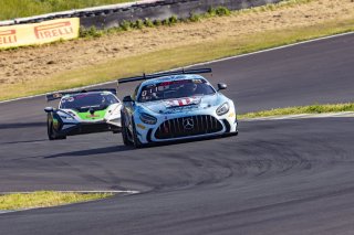 #44 Mercedes-AMG GT2 of Brent Holden, GMG Racing, GT America, GT2, \SRO America, Sonoma Raceway, Sonoma, CA, April 2024
 | Brian Cleary/SRO
