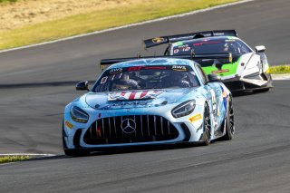 #44 Mercedes-AMG GT2 of Brent Holden, GMG Racing, GT America, GT2, \SRO America, Sonoma Raceway, Sonoma, CA, April 2024
 | Brian Cleary/SRO