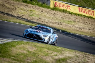 #44 Mercedes-AMG GT2 of Brent Holden, GMG Racing, GT America, GT2, SRO America, Sonoma Raceway, Sonoma, CA, April 2024
 | Brian Cleary/SRO