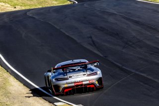 #50 Mercedes-AMG GT3 of Ross Chouest, Chouest Povoledo Racing, GT America, SRO3, SRO America, Sonoma Raceway, Sonoma, CA, April 2024
 | Brian Cleary/SRO