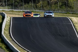 #04 Mercedes-AMG GT3 of  George Kurtz, Crowdstrike by Riley, GT America, SRO, #44 Mercedes-AMG GT2 of Brent Holden, GMG Racing, GT2, SRO America, Sonoma Raceway, Sonoma, CA, April 2024
 | Brian Cleary/SRO