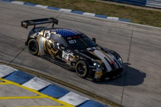 #2 Aston Martin Vantage AMR GT3 of Jason Bell, Flying Lizard Motorsports, GT America, SRO3, SRO America, Sebring International Raceway, Sebring, FL, May 2024.
 | Brian Cleary/SRO