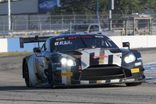 #2 Aston Martin Vantage AMR GT3 of Jason Bell, Flying Lizard Motorsports, GT America, SRO3, SRO America, Sebring International Raceway, Sebring, FL, May 2024.
 | Brian Cleary/SRO