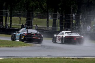 #29 BMW M4 GT3 of Justin Rothberg, Turner Motorsport, GT America, SRO3, SRO America, VIRginia International Raceway, Alton, VA, July 2024.
 | SRO Motorsports Group