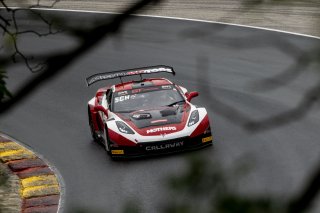 #70 Callaway Corvette Z06R GT3 of Mirco Schultis, MISHUMOTORS, GT America, SRO3, SRO America, Road America, Elkhart Lake, WI, August 2024.
 | Brian Cleary/SRO