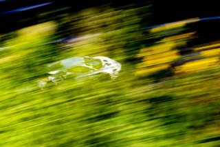 #102 McLaren Artura GT4 of Alan Grossberg, TPC Racing, GT America, GT4, SRO America, Road America, Elkhart Lake, WI, August 2024.
 | Brian Cleary/SRO