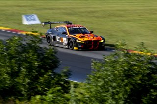 #8 BMW M4GT3 of Elias Sabo, Flying Lizards Racing, SRO3, SRO America, Road America, Elkhart Lake, WI, August 2024.
 | Brian Cleary/SRO