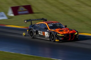 #8 BMW M4GT3 of Elias Sabo, Flying Lizards Racing, SRO3, SRO America, Road America, Elkhart Lake, WI, August 2024.
 | Brian Cleary/SRO