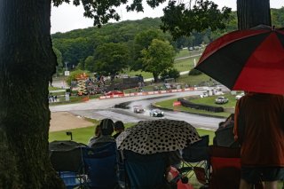 #29 BMW M4 GT3 of Justin Rothberg, Turner Motorsport, GT America, SRO3, SRO America, Road America, Elkhart Lake, WI, August 2024.
 | Brian Cleary/SRO