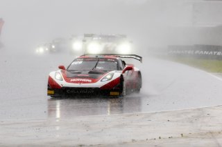 #70 Callaway Corvette Z06R GT3 of Mirco Schultis, MISHUMOTORS, GT America, SRO3, SRO America, Road America, Elkhart Lake, WI, August 2024.
 | Brian Cleary/SRO