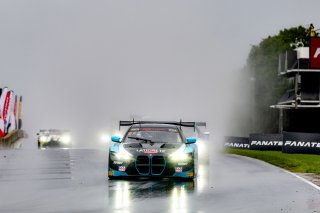 #29 BMW M4 GT3 of Justin Rothberg, Turner Motorsport, GT America, SRO3, SRO America, Road America, Elkhart Lake, WI, August 2024.
 | Brian Cleary/SRO