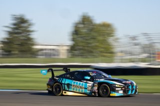 #29 BMW M4 GT3 of Justin Rothberg, Turner Motorsport, GT America, SRO3, SRO America, Indianapolis Motor Speedway, Indianapolis, IN, October 2024.
 | Brian Cleary/SRO