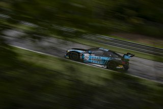 #29 BMW M4 GT3 of Justin Rothberg, Turner Motorsport, GT America, SRO3, SRO America, Barber Motorsports Park, Birmingham, AL, September 2024
 | Brian Cleary/SRO