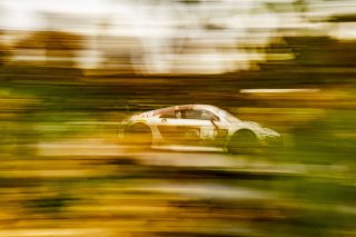 #3  Audi R8 LMS GT3 of Johnny O'Connell, SKI Autosports, GT America, SRO3, SRO America, Barber Motorsports Park, Birmingham, AL, September 2024
 | Brian Cleary/SRO