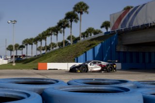 #50 Chevrolet Corvette Z06 GT3.R  of Ross Chouest, Chouest Povoledo Racing, GT America, SRO3, SRO America, Sebring International Raceway, Sebring, FL, May 2025.
 | Brian Cleary/SRO