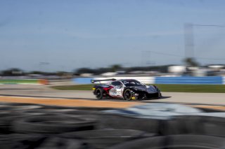 #50 Chevrolet Corvette Z06 GT3.R  of Ross Chouest, Chouest Povoledo Racing, GT America, SRO3, SRO America, Sebring International Raceway, Sebring, FL, May 2025.
 | Brian Cleary/SRO
