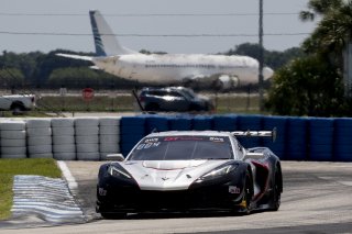 #50 Chevrolet Corvette Z06 GT3.R  of Ross Chouest, Chouest Povoledo Racing, GT America, SRO3, SRO America, Sebring International Raceway, Sebring, FL, May 2025.
 | Brian Cleary/SRO
